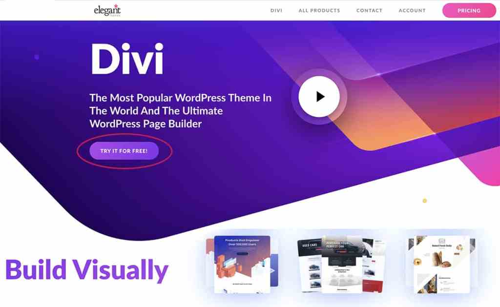 divi elegant themes