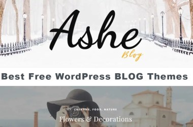 free-wordpress-blog-themes-1