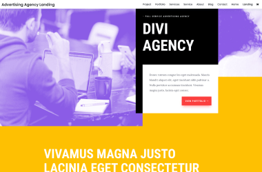 Advertising-Agency-Landing-Elegant-Themes